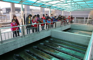 環(huán)保公眾開(kāi)放日第一站 走進(jìn)污水處理廠 看污水如何變清水