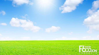 睿容空氣凈化器加盟指南 加盟費(fèi)、官網(wǎng)、條件流程及政策支持解析